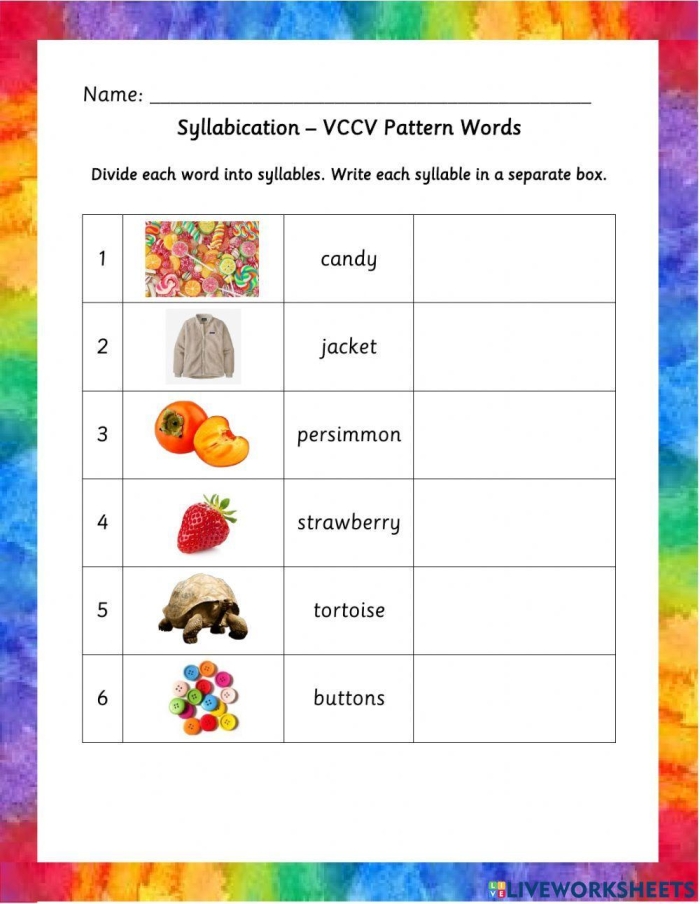 Syllable Patterns VCCV Word Division and Sorting Activity for Beginning Readers First grade VCCV syllable pattern worksheet showing words with vowel-consonant-consonant-vowel structure for dividing and sorting practice