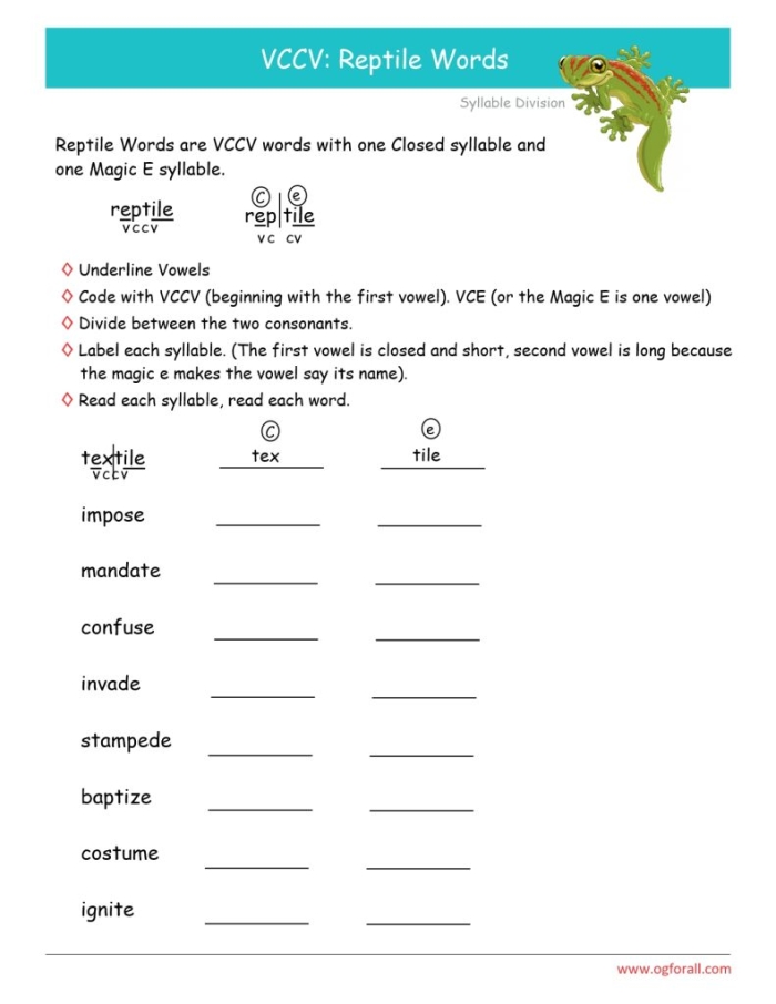 VCCV Syllable Patterns Worksheet for First Grade Literacy Practice First grade student completing a two-page VCCV syllable division handwriting exercise