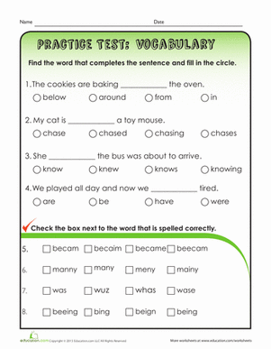 Vocabulary practice test worksheet designed for first graders to enhance their spelling skills