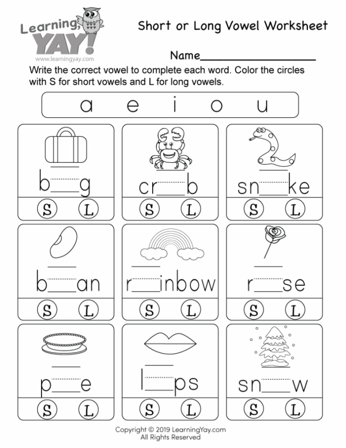 Colorful Long and Short Vowel Review worksheet for first graders focusing on phonics skills