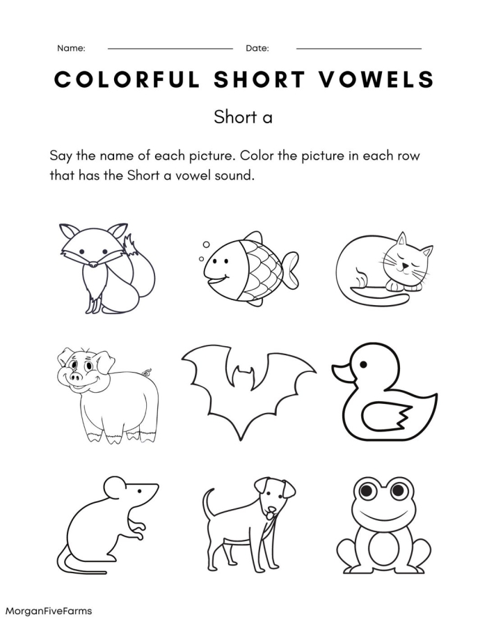 Vowel Sounds Evaluation Sheet for First Grade Phonics Skills Phonics Practice Test worksheet for first graders focusing on vowel sounds