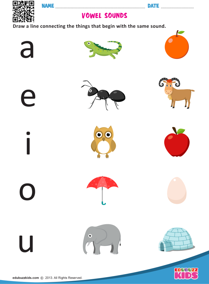 Vowel Sounds Evaluation Sheet for First Grade Phonics Practice Phonics Practice Test worksheet focused on vowel sounds for first graders