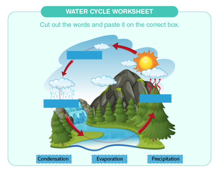 First grade water cycle diagram worksheet showing cloud formation and rain process for students learning about the water cycle