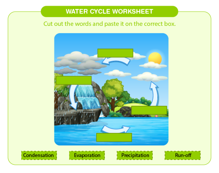 First grade water cycle diagram worksheet showing clouds, rain, and evaporation process for students learning about weather