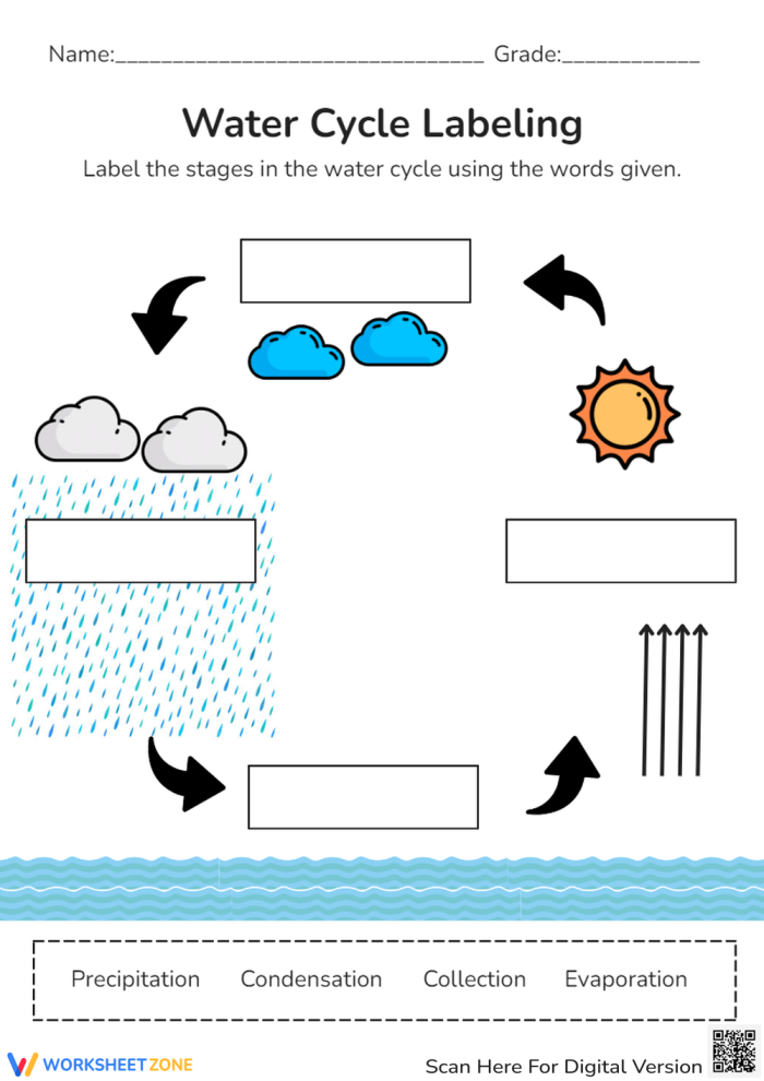 First grade water cycle diagram with blank labels for students to identify evaporation, condensation, and precipitation stages