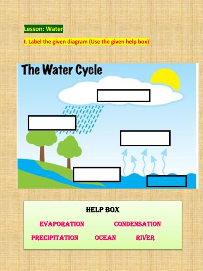 A first grade student cutting and pasting labels onto a water cycle diagram for science class