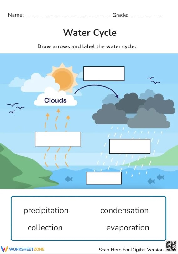 First grade water cycle diagram with blank labels for students to identify evaporation, condensation, and precipitation stages