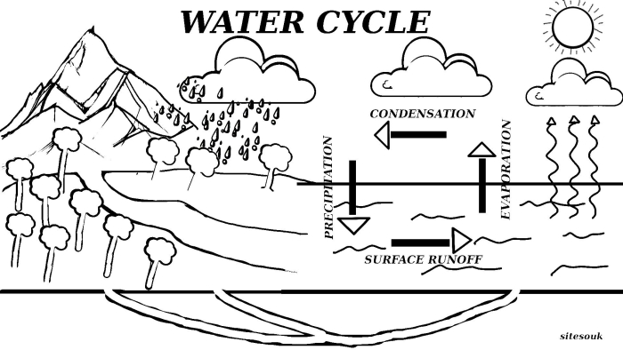 First grade water cycle diagram worksheet showing clouds, rain, and evaporation process for students learning about weather