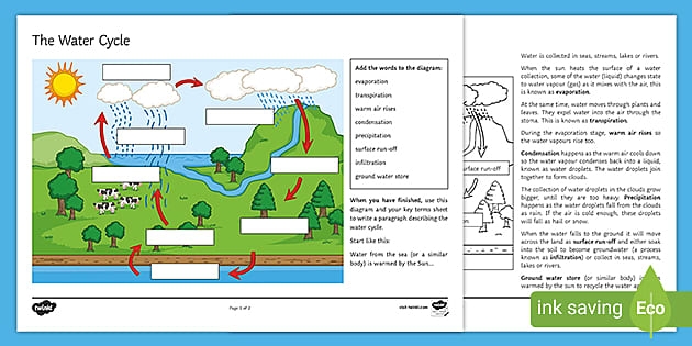 First grade water cycle diagram worksheet showing clouds and rain formation process