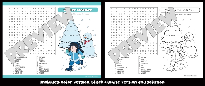 First grade printable weather word search worksheet for children