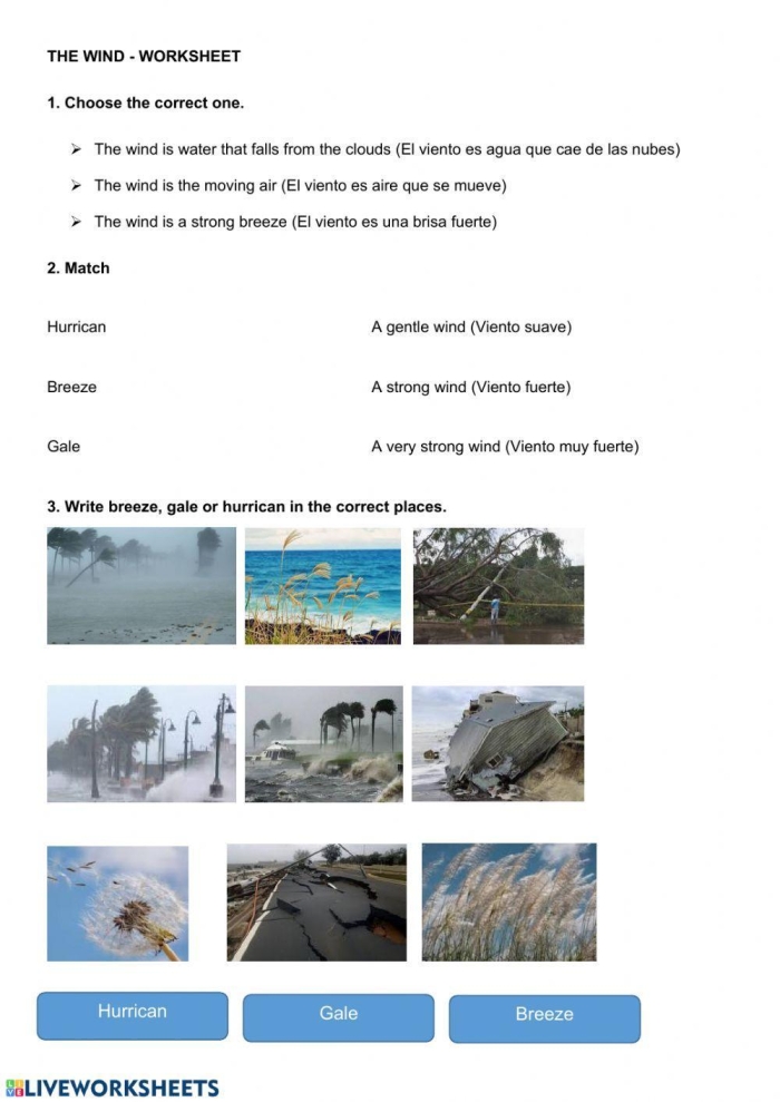 Numbers and Counting worksheet for First Grade Colorful first-grade wind worksheet focused on numbers and counting concepts. Engaging introduction to earth science for young learners.