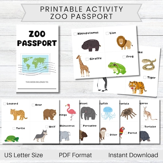 First grade student worksheet featuring zoo animals and prepositional questions