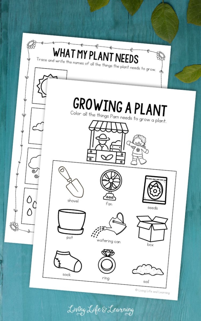What Do Plants Need Worksheet Number 10 for First Grade Students First grade science worksheet about essential needs for plant life