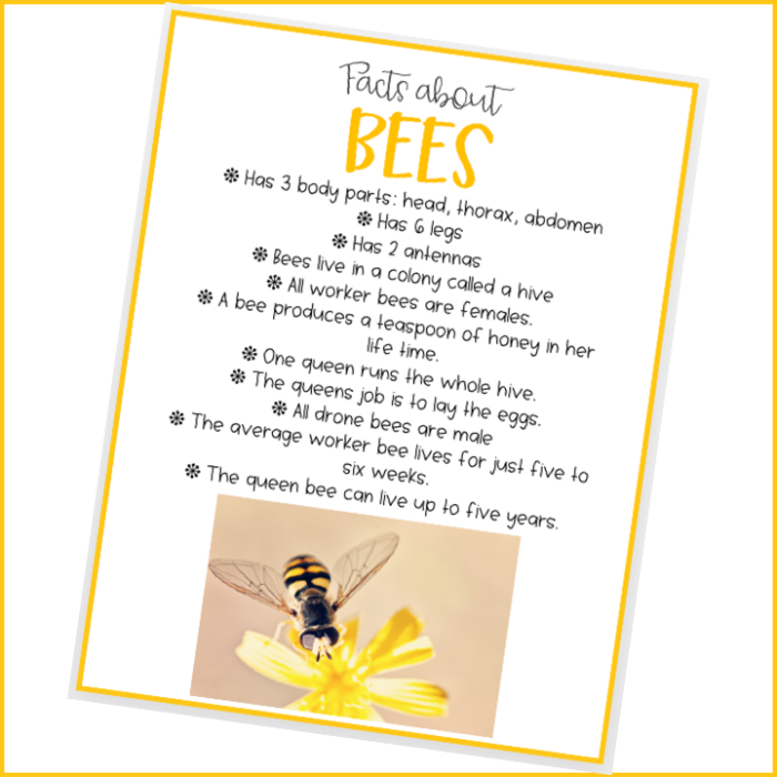 Five Busy Honey Bees division worksheet for Pre-K students to draw their favorite poem scene
