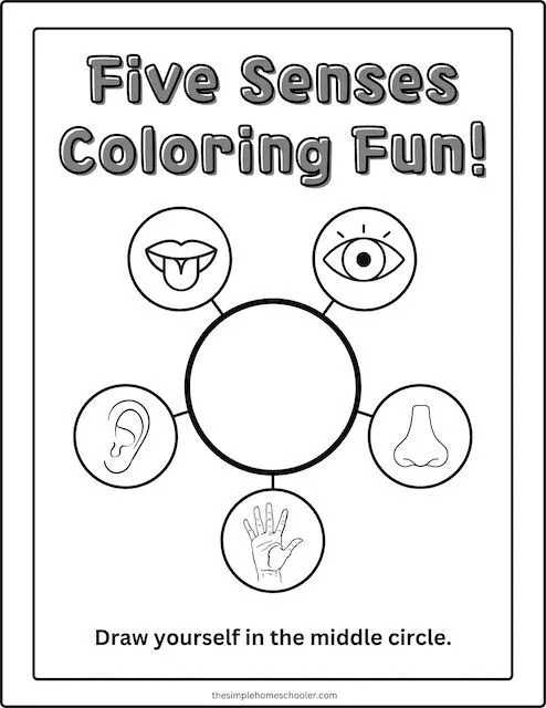 A preschool worksheet featuring colorful illustrations to help children match each of the five senses to its correct body part