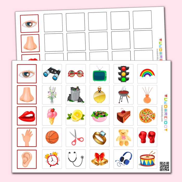 Cute worksheet for preschoolers matching pictures to the five senses
