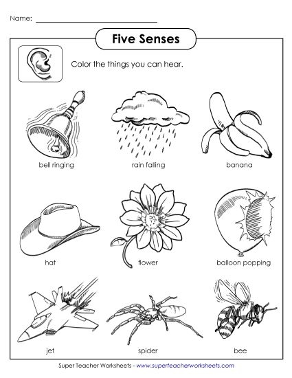 Cute worksheet for matching pictures to the five senses for Pre-K students