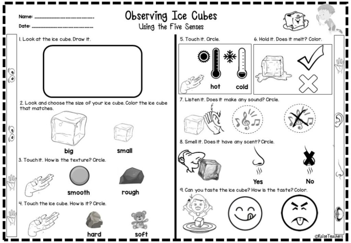 Engaging worksheet for creating five senses riddles and descriptions Five Senses Observation worksheet for first graders with sensory word bank