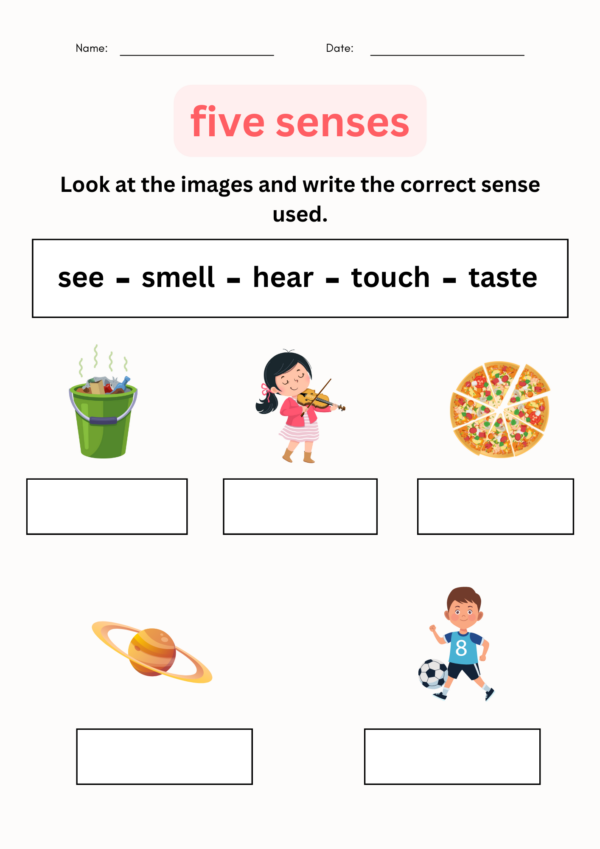 Engaging worksheet to help students describe objects using their five senses Five Senses Observation worksheet featuring sensory words and a riddle activity for first graders
