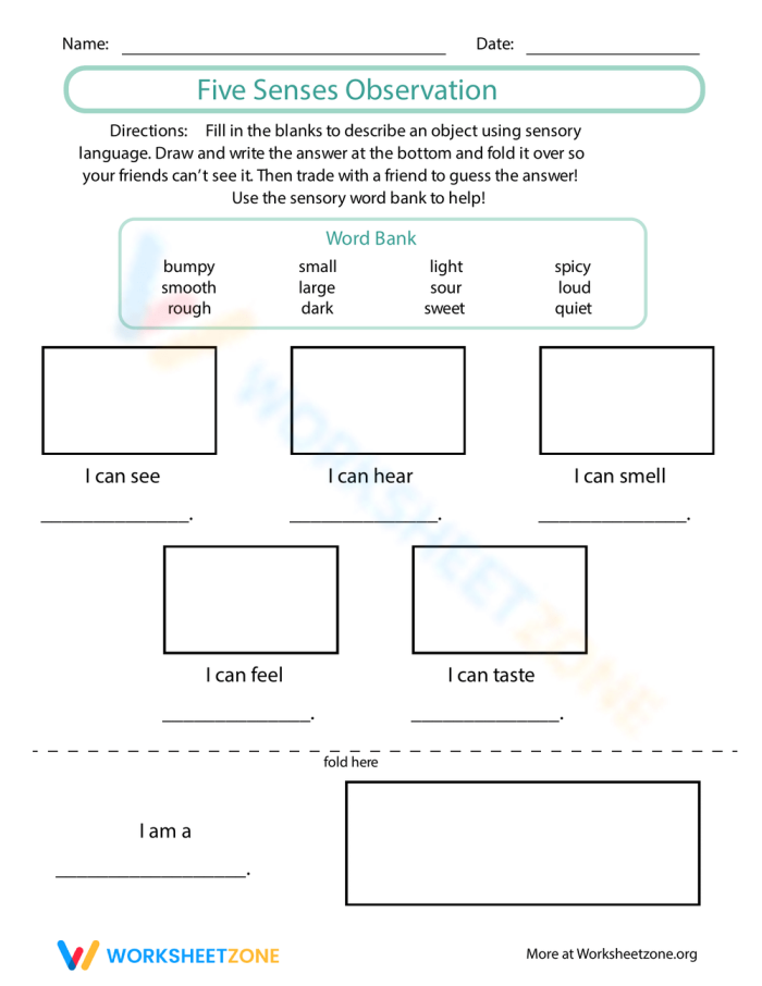 Engaging worksheet for students to explore sensory descriptions and vocabulary Five Senses Observation worksheet featuring a fun riddle activity for first graders