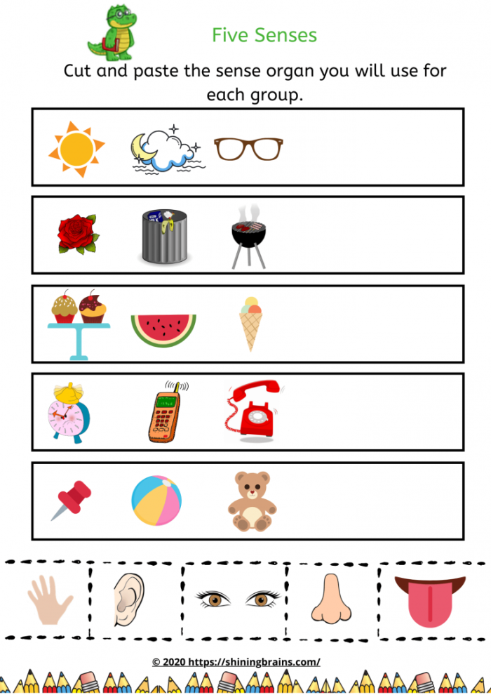 Engaging five senses riddle worksheet designed for young learners to enhance descriptive skills Five Senses Observation worksheet for first graders featuring sensory words and a word bank