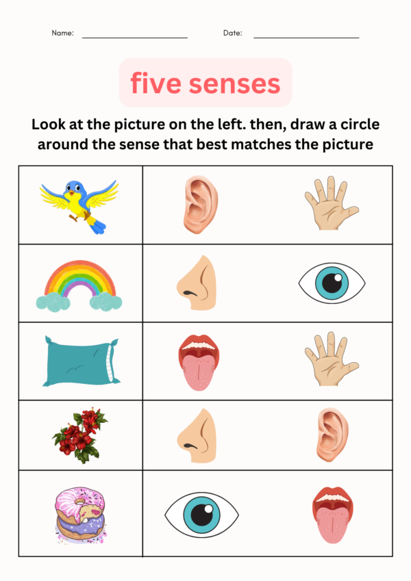 Reading worksheet for First Grade First grade students engaging with a Five Senses Observation worksheet while creating riddles. Fun and educational activity for young learners to explore sensory vocabulary.