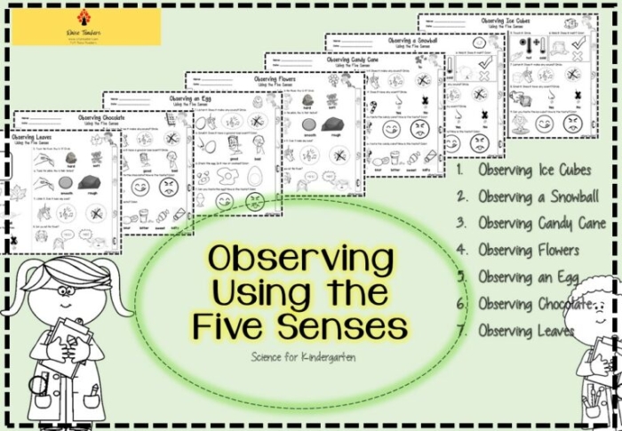 Engaging activity to create riddles using the five senses in a fun format Five Senses Observation worksheet for first graders featuring sensory words and a word bank