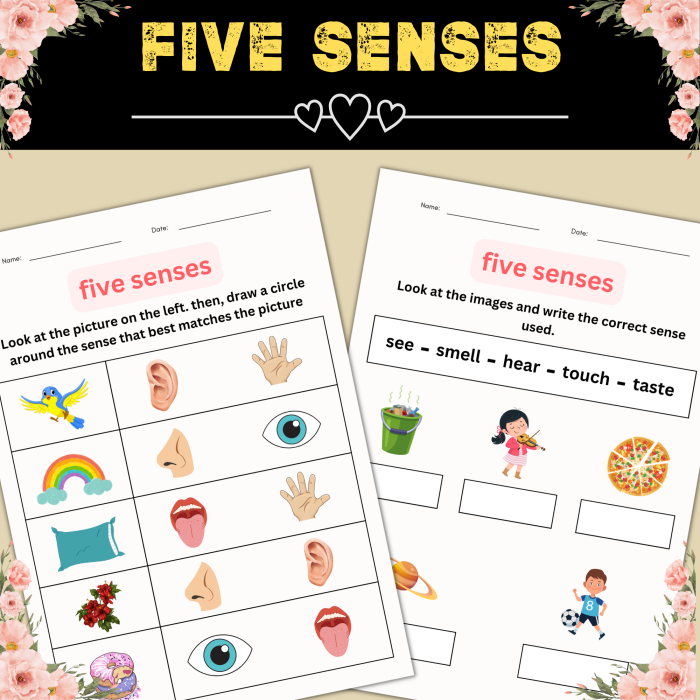 Engaging worksheet for students to practice describing objects using their five senses Five Senses Observation worksheet featuring sensory words and a riddle format for first graders