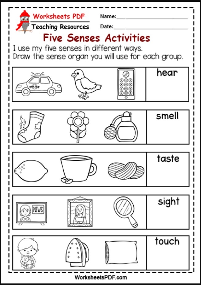 Interactive activity for students to craft riddles using their five senses Five Senses Observation worksheet for first graders featuring sensory words and a word bank