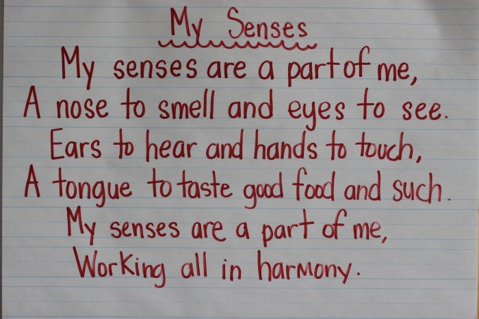 Engaging worksheet to help kids explore their five senses through poetry Five Senses Poem worksheet for kindergarten students focusing on sensory language