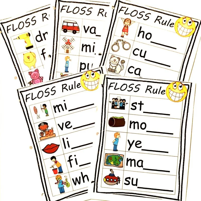 Engaging activity for practicing the FLOSS rule in writing skills FLOSS Words worksheet for second graders focusing on identifying double letters in words