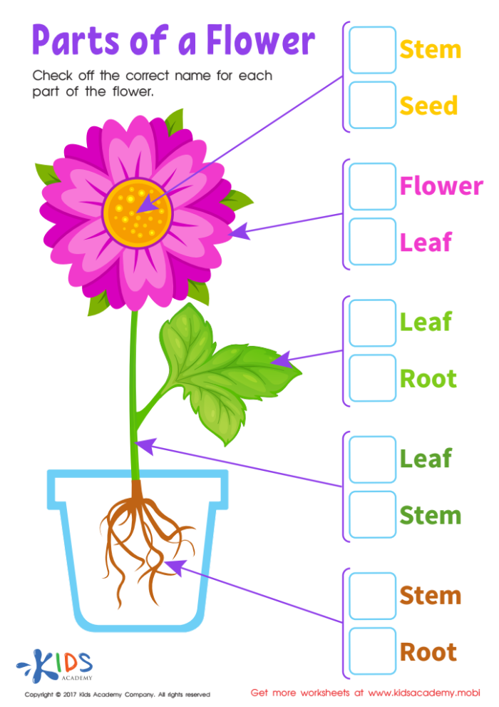 A diagram showing the labeled parts of a flower including petals, stem, roots, and stamen for fourth grade students