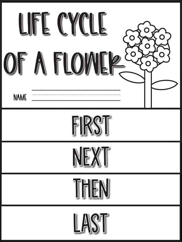 Complete a Flower Fill-In! worksheet for Pre-K physical science exploration Colorful worksheet for preschoolers to learn about flower parts with fill-in activities