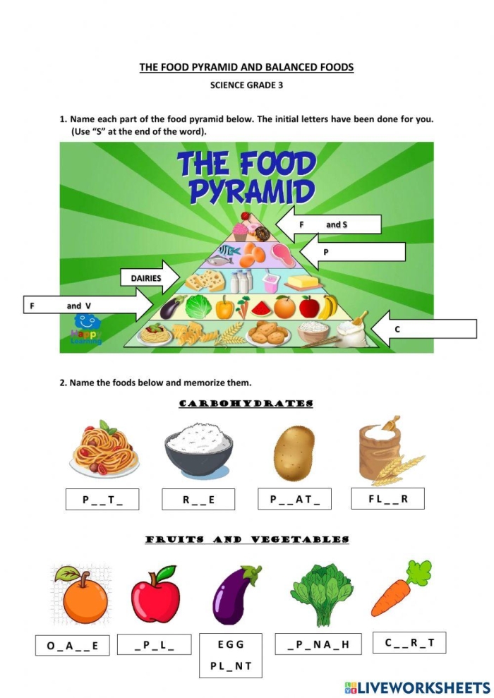 Fourth grade students learn about energy flow in a food chain pyramid worksheet