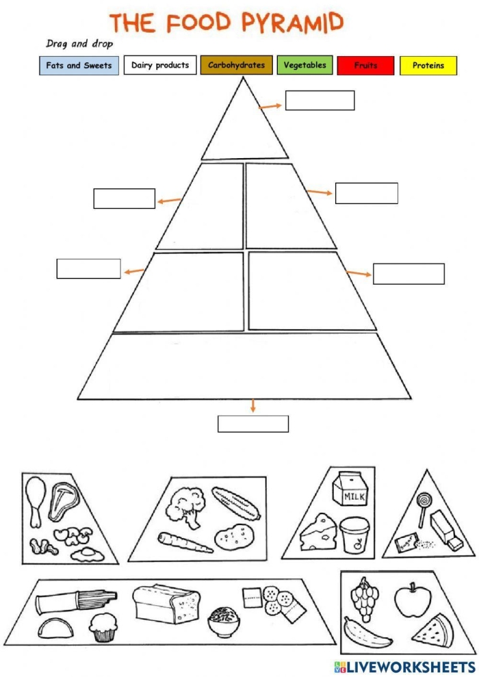 Food chain pyramid diagram showing producers at the base, herbivores in the middle, carnivores above them, and decomposers around the sides for fourth grade science learning