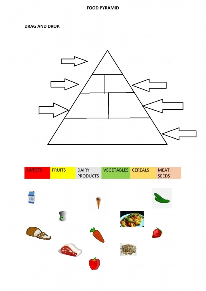 Fourth grade science worksheet illustrating the hierarchy of a food chain pyramid with producers and consumers