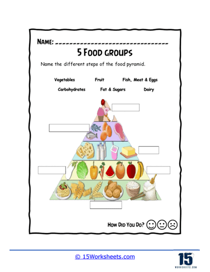 Colorful food chain pyramid diagram showing carnivores at the top, herbivores in the middle, producers and decomposers at the base for fourth grade science learning