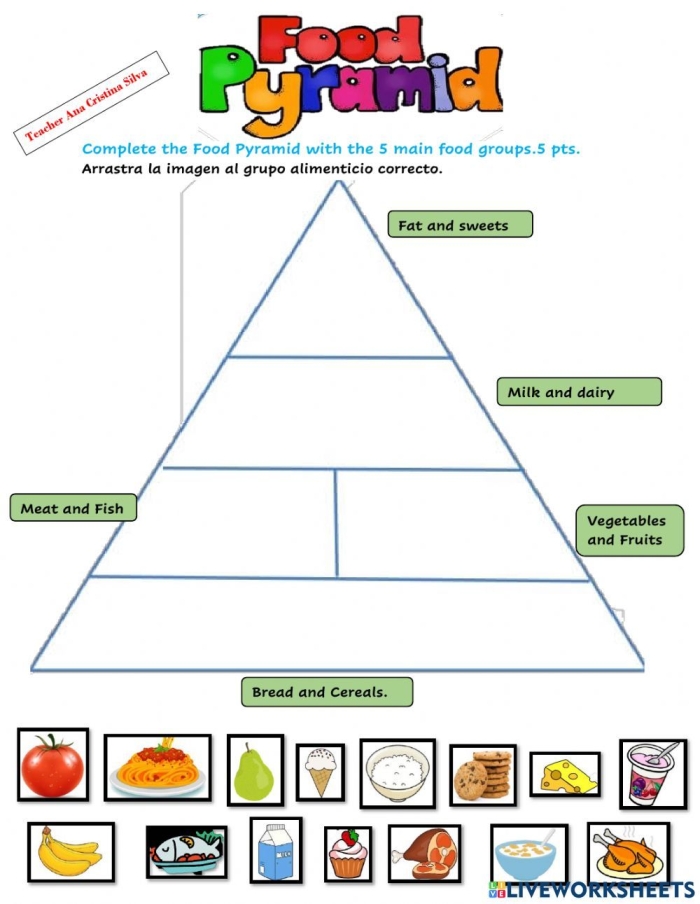 Fourth grade worksheet showing a colorful food chain pyramid with producers and consumers