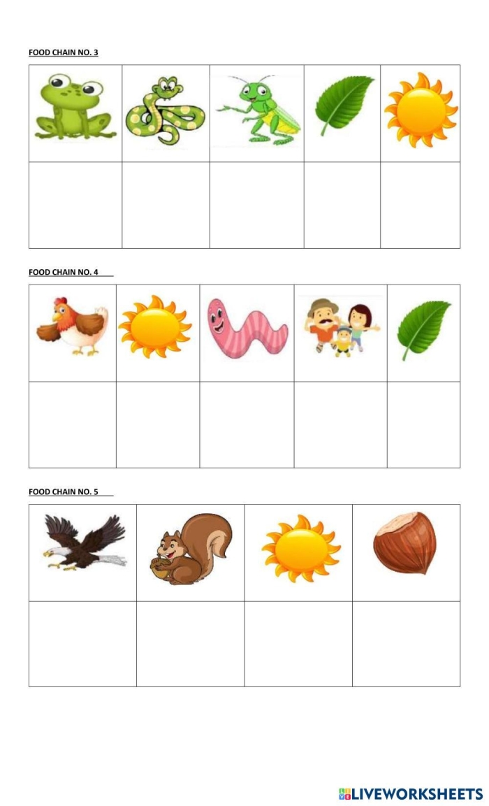 Worksheet featuring key concepts of food chains for fourth graders