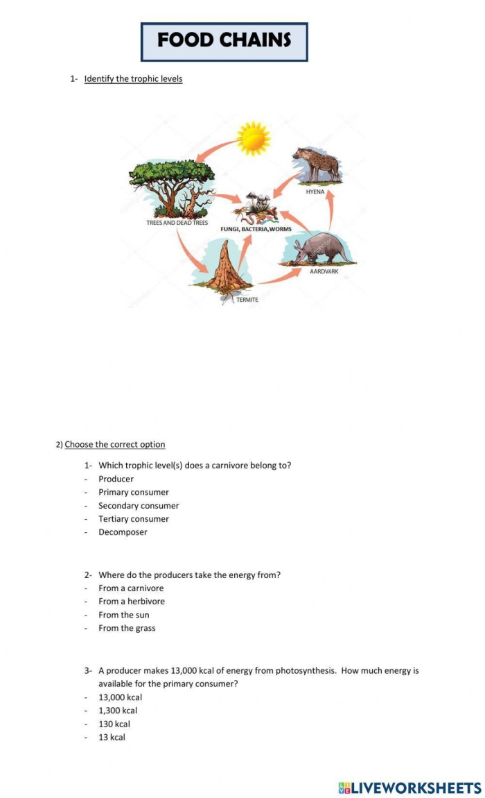 ALT text for a worksheet focused on food chains for fourth graders