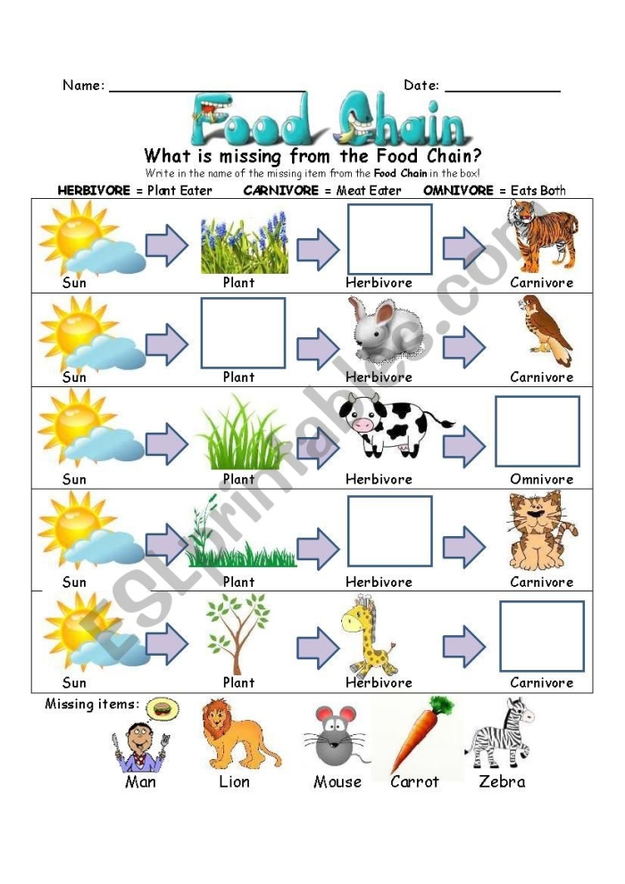 Colorful worksheet featuring food chain concepts for fourth graders