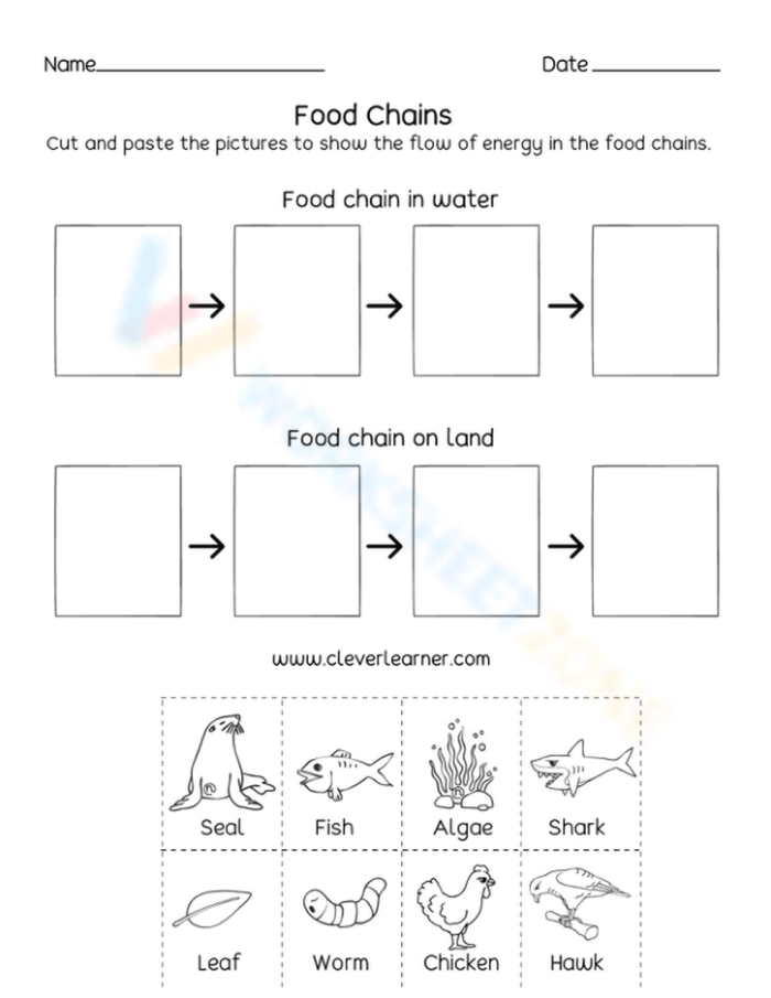 Educational worksheet on food chains for fourth graders