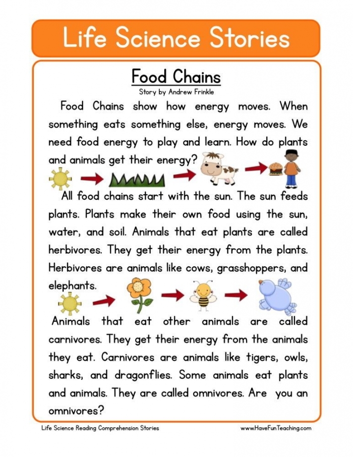 Illustration of a multi-page worksheet designed to enhance understanding of food webs and reading skills Food Webs Reading Comprehension worksheet for fourth graders, featuring engaging activities
