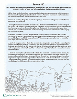 Engaging multi-page resource for enhancing reading skills and understanding food webs Food Webs Reading Comprehension worksheet designed for fourth-grade students