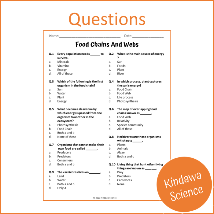 Engaging multi-page activity for enhancing reading skills and understanding food webs Illustration of a Food Webs Reading Comprehension worksheet designed for fourth graders