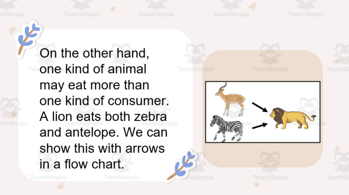 Illustration of a reading comprehension activity focused on food webs for fourth graders Fourth grade students engaging with a Food Webs Reading Comprehension worksheet