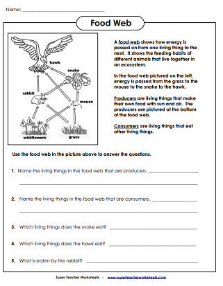 Reading worksheet for Fourth Grade Food Webs Reading Comprehension worksheet for fourth graders to enhance their reading skills. Engaging multi-page resource for understanding food webs and reading comprehension.