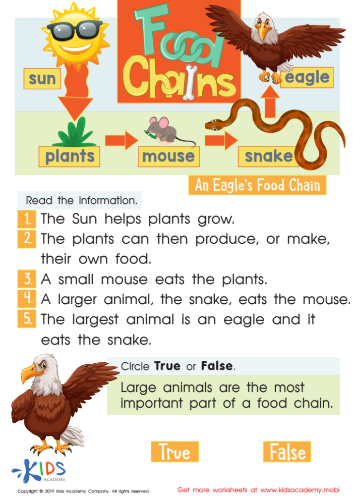 Illustration of a reading comprehension activity focused on food webs for kids Fourth-grade students engaged in a food webs reading comprehension worksheet