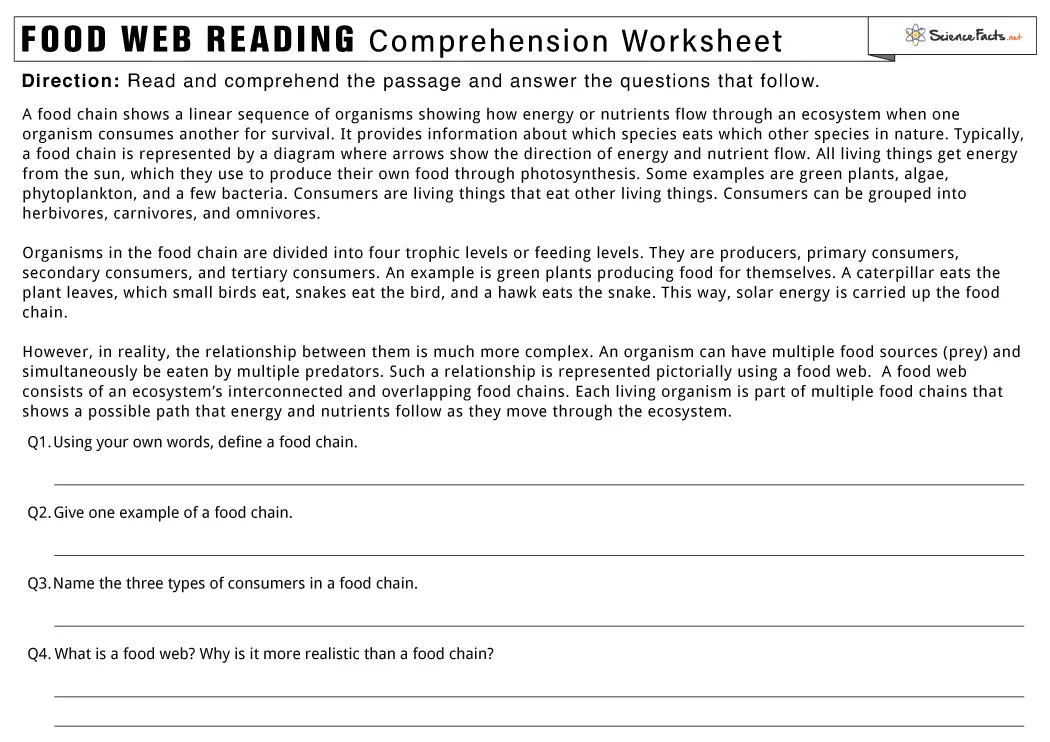 Engaging worksheet for fourth graders to enhance their understanding of food webs. Detailed illustration of a food web for reading comprehension activities in fourth grade.
