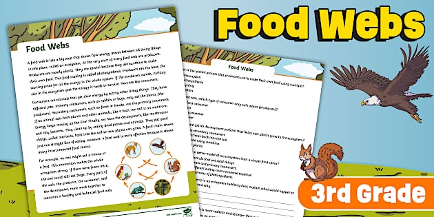 Reading worksheet for Fourth Grade Colorful Food Webs Reading Comprehension worksheet for fourth graders. Educational resource to enhance understanding of ecosystems and reading skills.
